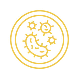 Pre ve Probiyotikler